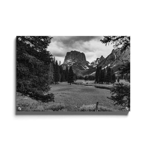 Wyoming Forest Online Sale