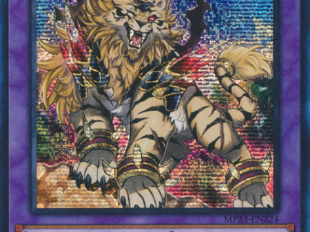 Amazoness Pet Liger King [MP23-EN224] Prismatic Secret Rare Sale